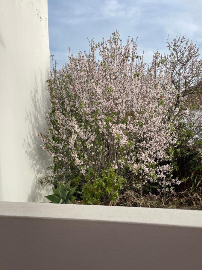 Casa Da Aldeia - Guest House โอดิอาแชริ ภายนอก รูปภาพ